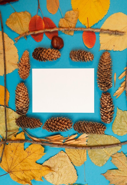 Maquette d'automne avec des feuilles jaunes et rouges. Pommes de pin et une feuille de papier blanc pour l'inscription.