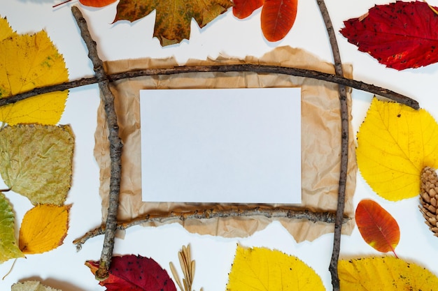 Maquette d'automne avec des feuilles jaunes et rouges. Pommes de pin et une feuille de papier blanc pour l'inscription.