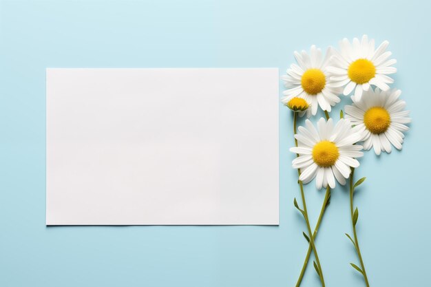 Maquette de carte postale horizontale blanche minimale vierge avec des fleurs de marguerite Maquette de carte en papier avec espace de copie