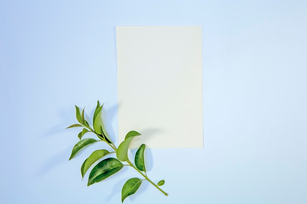 Maquette de carte de voeux en papier a5 avec des feuilles vertes
