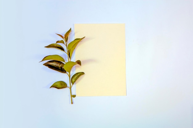 Maquette de carte de voeux en papier a5 avec des feuilles vertes