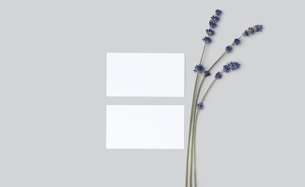 Maquette de deux cartes de visite de réduction en coupe sur fond de minimalisme gris et fleurs de lavande