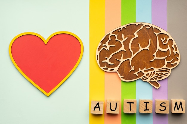 Maquette du cerveau humain et du cœur sur un fond coloré. Six cubes avec l'inscription autisme.