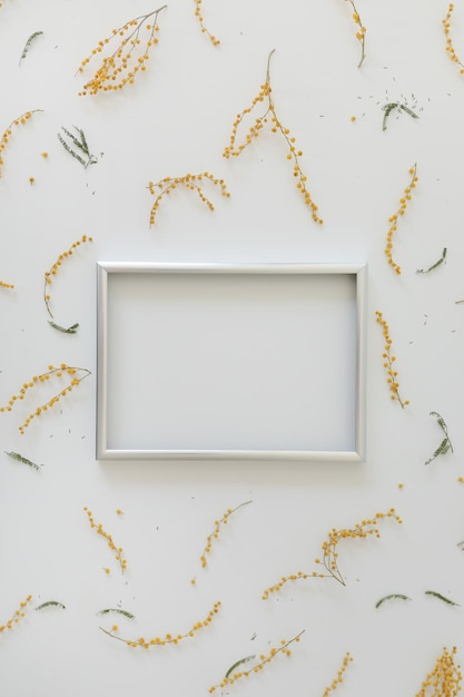 maquette avec des fleurs de mimosa jaunes et un cadre photo vierge avec espace de copie concept de Pâques de printemps