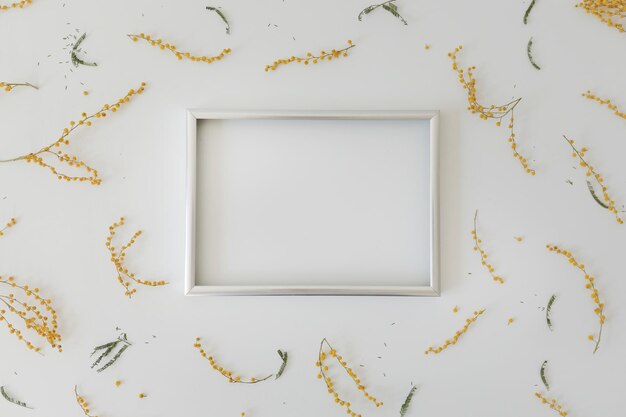 Maquette avec des fleurs de mimosa jaunes et un cadre photo vierge avec espace de copie Concept de Pâques de printemps