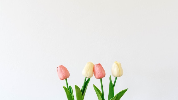 Maquette de fleurs de tulipes sur fond blanc