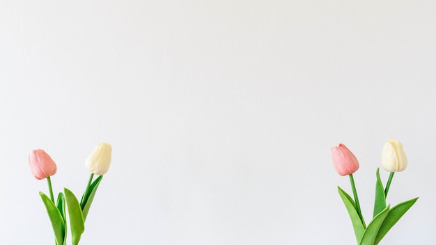 Maquette de fleurs de tulipes sur fond blanc