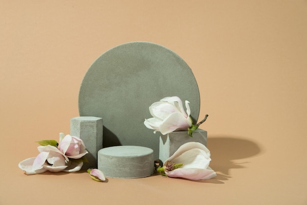 maquette de formes concrètes sur fond pastel avec une fleur de magnolia