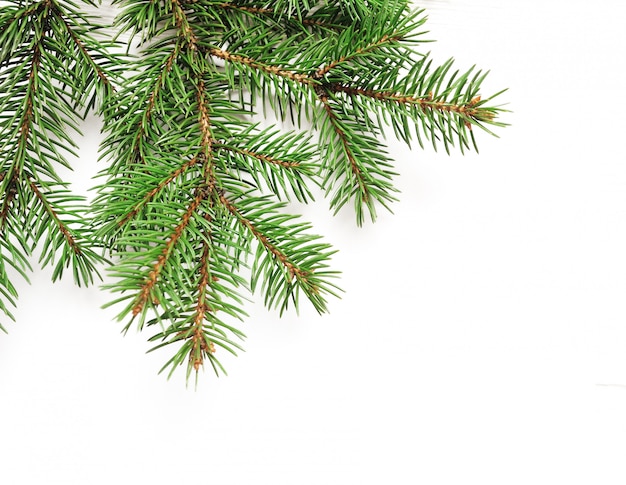 Maquette frontière de branches d'arbres de Noël sur blanc isolé