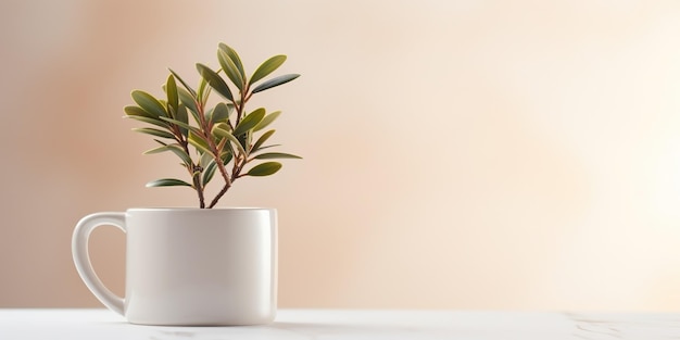 Photo maquette en gros plan d'un petit arbre artificiel dans une tasse en céramique blanche seule sur blanc