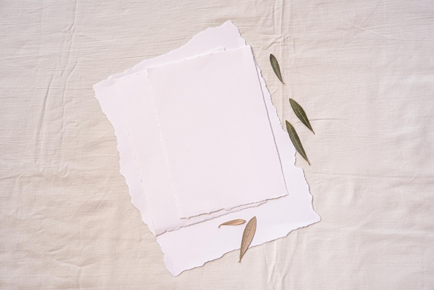 Maquette d'invitation de mariage tropical Vue de dessus à plat feuille blanche avec branche d'olivier Stock de style