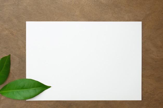 Photo une maquette de livre blanc harmonieusement ornée d'une feuille fraîche dévoilant une fusion délicate