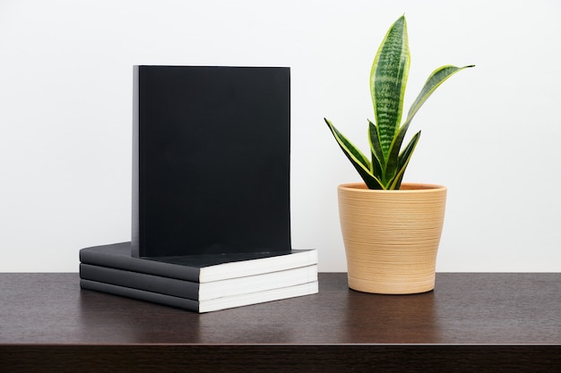 Maquette de livre noir avec cactus dans un pot sur la table de l'espace de travail sombre et fond de mur blanc