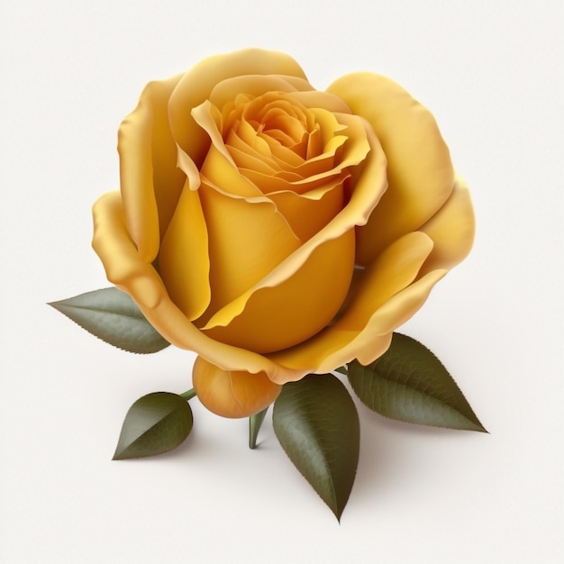 maquette rose jaune