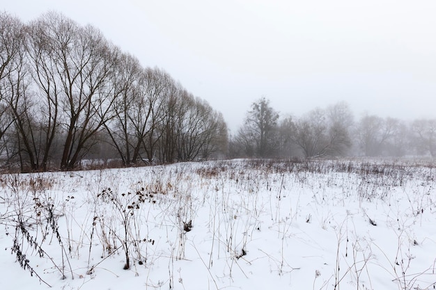 Un marais couvert de neige et de glace en hiver