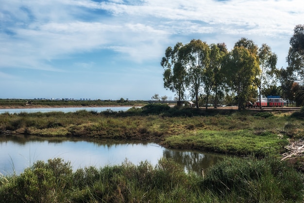 Marais à Huelva