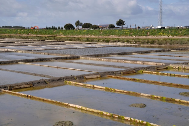 Marais salants d'Aveiro au Portugal