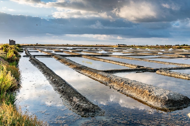 Marais salants sur l'île de Noirmoutier en France