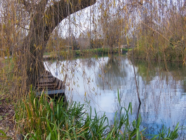 Maraisbourgescherberryfrance