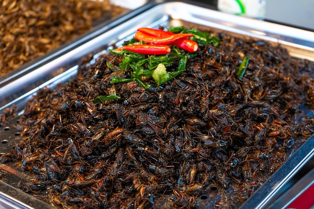 Marché alimentaire asiatique. Un comptoir avec des insectes frits