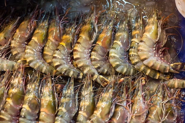 Marché aux crevettes