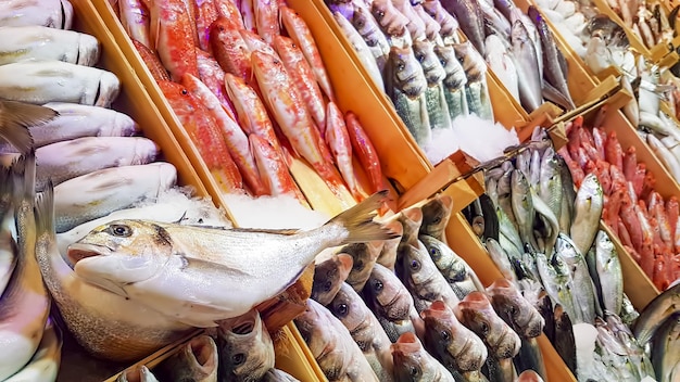 Marché Aux Fruits De Mer Et Poissons Crus. Photo De Concept Alimentaire.