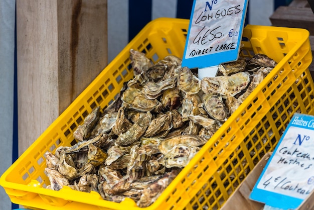 Marché aux huîtres à Cancale France