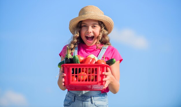 Marché aux légumes Légumes biologiques Fille mignonne enfant agriculture Cueillette de légumes dans le panier Village de style rustique Journée ensoleillée à la ferme Vente de concept d'aliments cultivés sur place Nutrition en vitamines naturelles