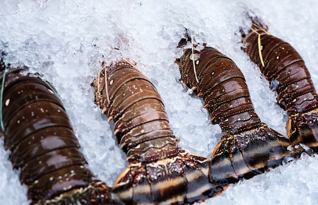 Marché de bacs de mer Asie mis homards