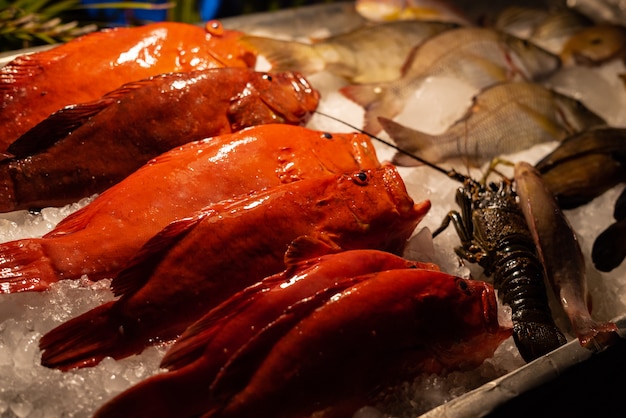 Marché de fruits de mer