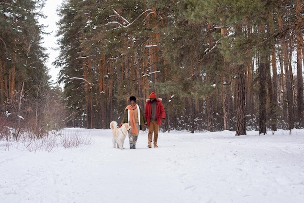 Marche d'hiver avec un chien dans la forêt