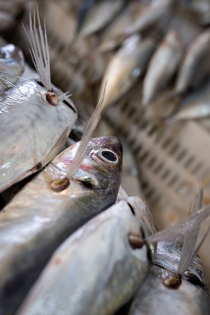 Marché traditionnel de poissons assortis