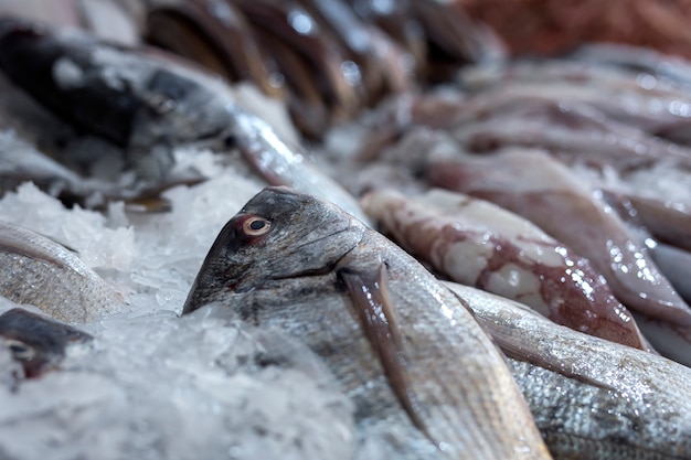 Marché traditionnel de poissons assortis