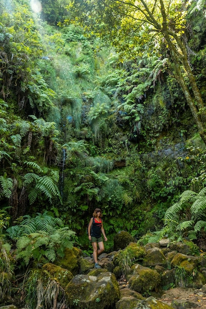 Marcher dans la grande végétation naturelle verdoyante du sentier Levada do Caldeirao Verde Queimadas Madeira