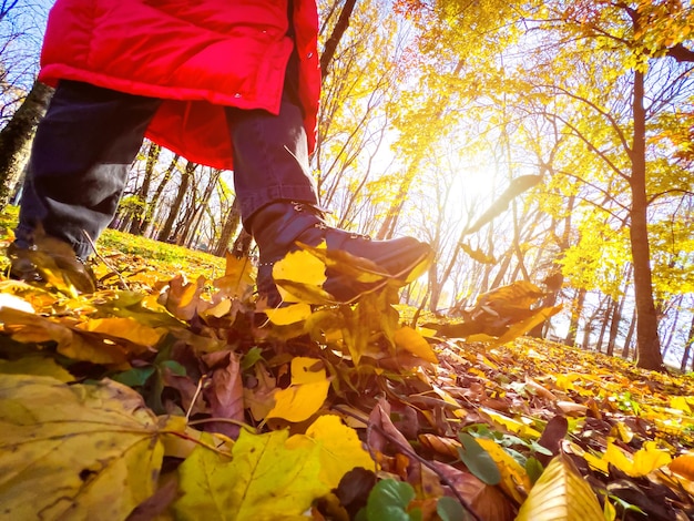 Marcher dans le parc d'automne en donnant des coups de pied dans les feuilles sèches