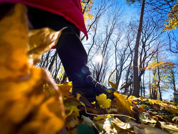 Marcher et donner des coups de pied dans les feuilles sèches du parc avec une éruption solaire sur fond vue grand angle depuis le sol