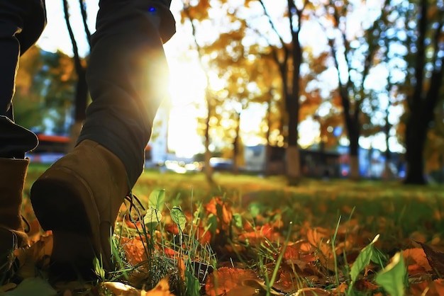 Marcher le long du chemin dans les feuilles