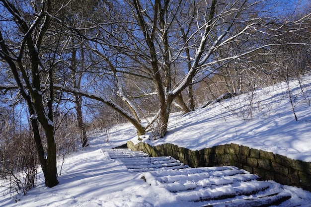 Marches couvertes de neige dans le parc en hiver