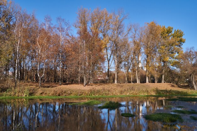 Marchez le long de la rive de la rivière Snezhet