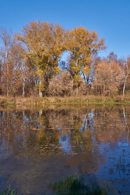 Marchez le long de la rive de la rivière Snezhet