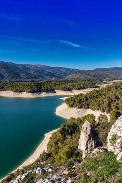 marécage avec de l'eau