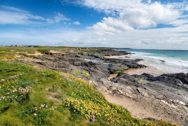 Marée basse à Booby's Bay à Cornwall