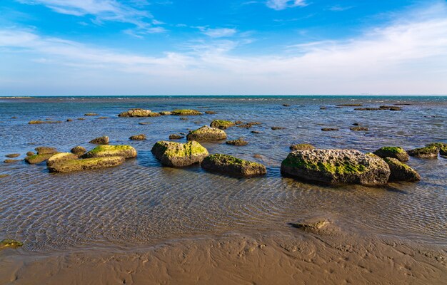 Marée basse en mer. Changement climatique