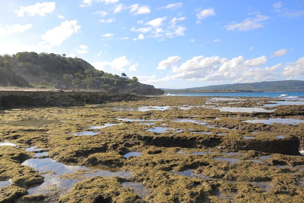 Marée descendante sur la plage, des pierres moussues, des coraux et des algues apparaissent lorsque l'eau de mer se retire