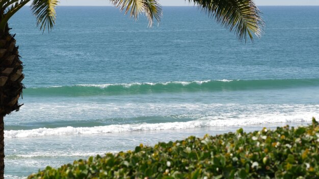 Marée de l'océan Pacifique, vibrations de la station balnéaire tropicale de Californie, États-Unis. Mousse de vagues de mer, feuille de palmier exotique verte par beau temps. Ambiance de vacances d'été sur la côte, esthétique estivale. Surface de l'eau bleue.