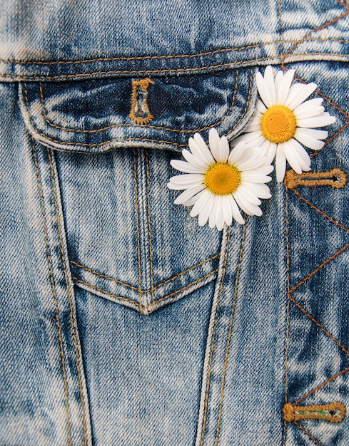 Marguerite dans la poche d&#39;un jean