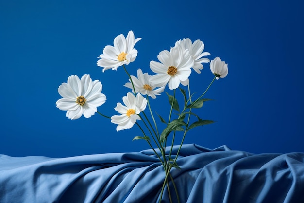 Des marguerites blanches dans un vase avec le mot marguerite dessus.