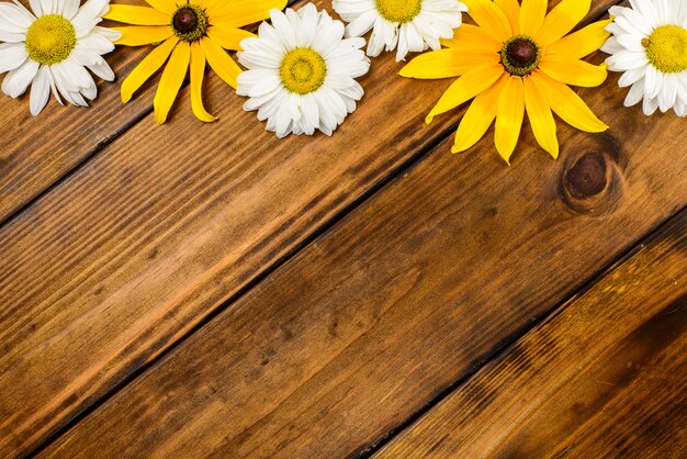 Marguerites blanches et fleurs de jardin sur une table en bois marron