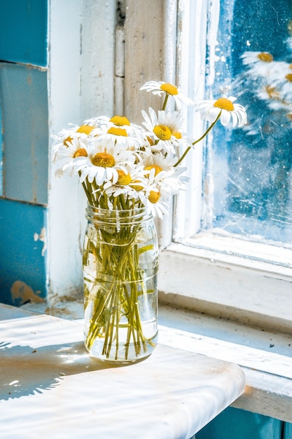 Marguerites dans un vase en verre sur la table près de la fenêtre