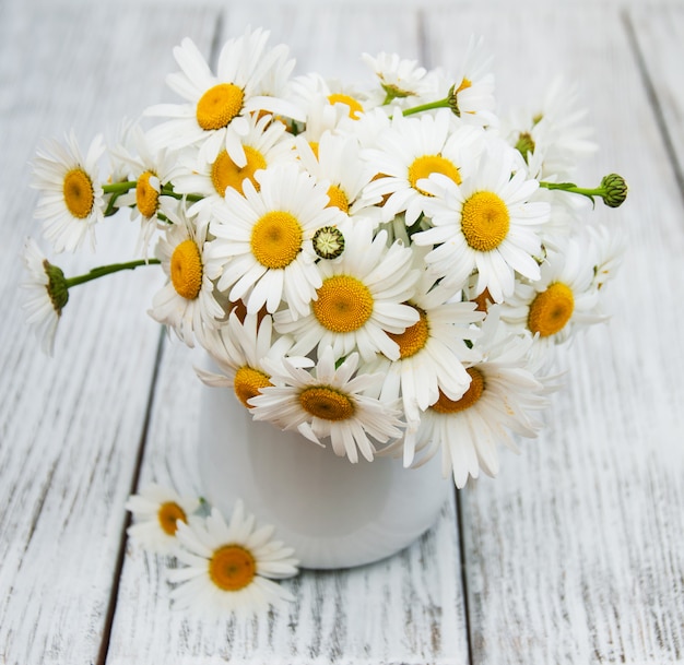 Marguerites dans un vase